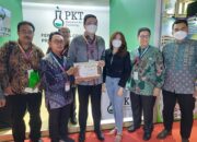 Cara Mengendalikan Ganoderma Pada Pohon Sawit Ala PKT Hingga Buat Pebisnis Dunia Terkesima Di IPOC 2022 Bali