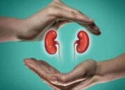 Gagal Ginjal Akut Di Sumut Sudah 15 Kasus