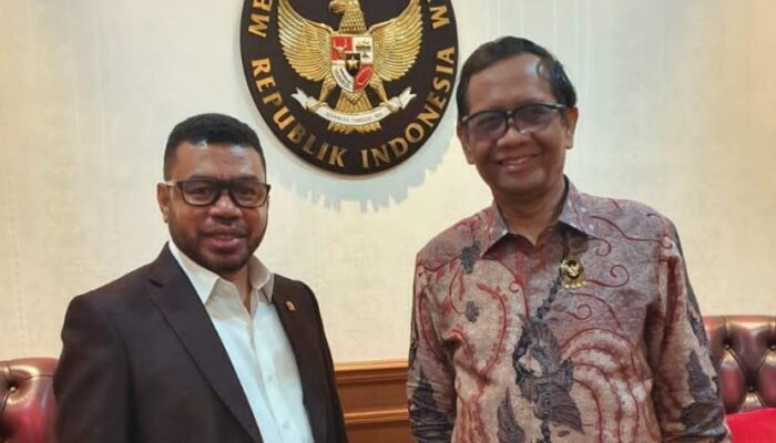 Akomodasi Tiga Provinsi Baru Di Papua, Pemerintah Diminta Segera Keluarkan Perppu Pemilu  