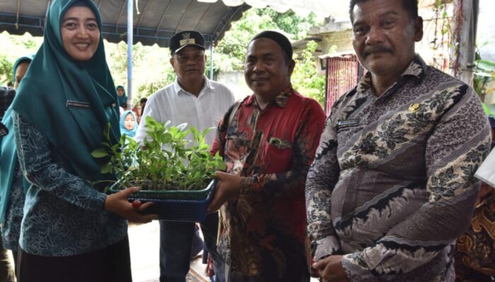 Desa Percontohan PKK Dapat Bantuan Benih Sayur Tingkatkan Ketahanan Pangan Di Batubara