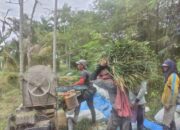 Pupuk Subsidi Di Agara Langka Dan Mahal