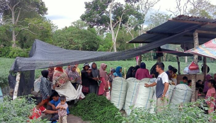 Penyaluran TJSL Ke Warga Sekitar PLTA Peusangan 88 MW Menuai Hasil Nyata