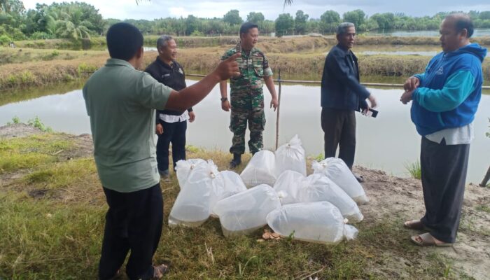 Dandim 0110/Abdya Bantu 15 Ribu Bibit Ikan Untuk Petambak