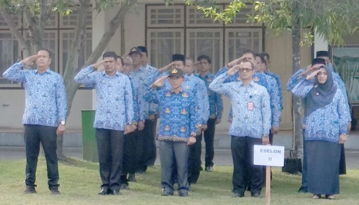 Selama Pora XIV Aktivitas ASN Seperti Biasa