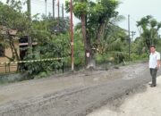 Dinilai Semrawut, Anggota Dewan Tinjau Proyek Jalan Umar Baki