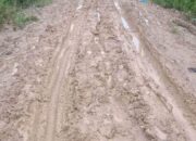 Karyawan PTPN-I Aceh Meninggal Akibat Kelelahan Melintasi Jalan Berlumpur