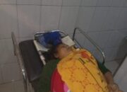 Ibu Hamil Tua Warga Siabu Tewas Ditabrak Mobil