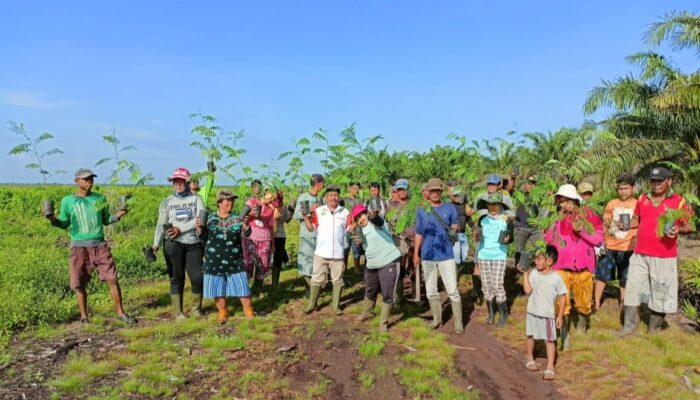 Lokasi Diusahai KTH KPLS Kawasan Hutan Produksi Milik Negara