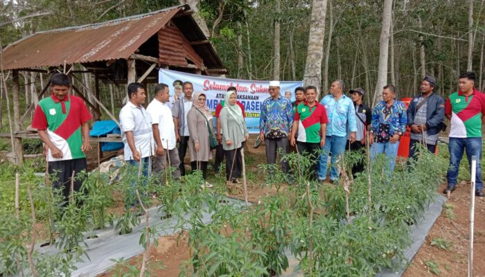 KTNA Palas Harus Terus Berbuat Tingkatkan Ketahanan Pangan