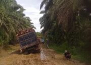 Pantai Barat Minta Pisah Dari Madina