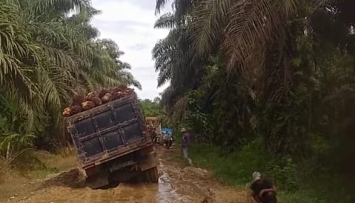 Pantai Barat Minta Pisah Dari Madina