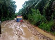 ‘Kubangan Kerbau’ Di Batahan