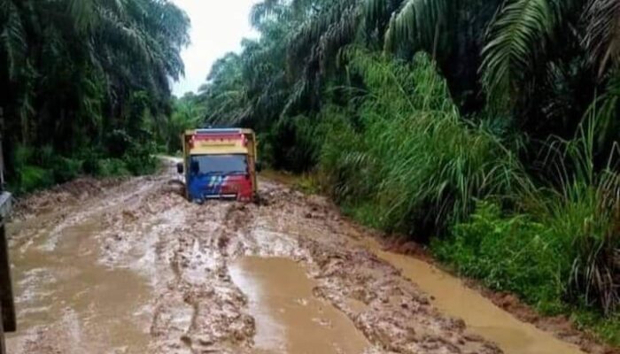 ‘Kubangan Kerbau’ Di Batahan