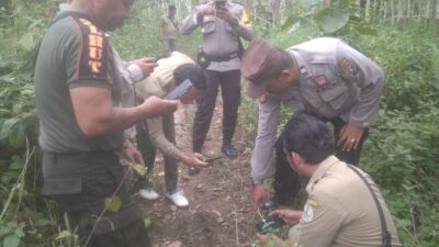 Jejak Harimau Menyebar, Dua Warga Tambangan Hilang