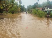 Banjir Di Linggabayu Dan Natal, Warga Ngungsi Jalan Lumpuh