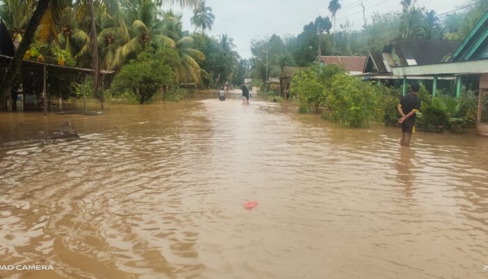 Banjir Di Linggabayu Dan Natal, Warga Ngungsi Jalan Lumpuh
