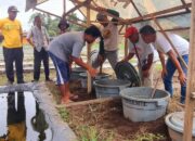 Pabrik AQUA Langkat Giatkan Pertanian Ramah Lingkungan Di Kwala Mencirim, Kabupaten Langkat