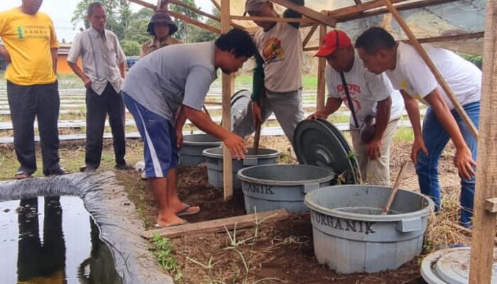 Pabrik AQUA Langkat Giatkan Pertanian Ramah Lingkungan Di Kwala Mencirim, Kabupaten Langkat