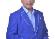 Armyn&nbsp;Simatupang&nbsp;Siap Berjuang Menangkan Partai Demokrat Di Pemilu 2024