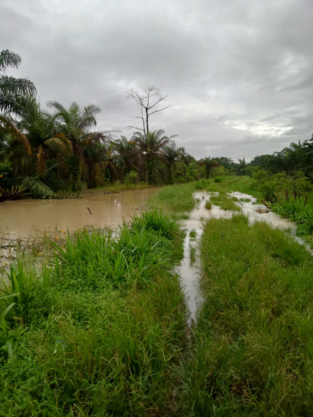 Sungai Sibaro Meluap, 27 Rumah Terendam Sungai Sibaro Meluap, 27 Rumah Terendam