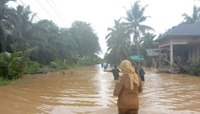 158 Ha Sawah Di Natal Terendam