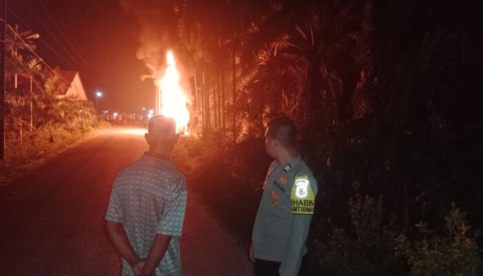 Warga Bakar Mobil Maling Sapi Di Seruway