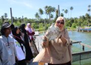 Rombongan Gathering Wisata Pulau Banyak Tinjau Penangkaran Penyu