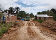 Pulopadang-Batahan Amblas