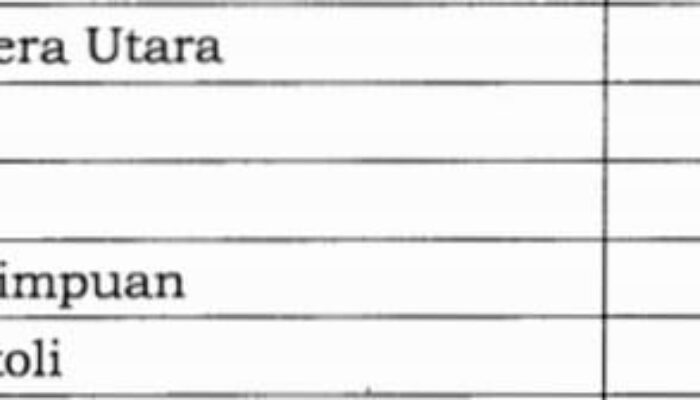 Hanya 5 Di Sumut Dan 1 Dari Tabagsel, Kinerja Pemko Padang Sidempuan Terima Penghargaan Rp11,4 M