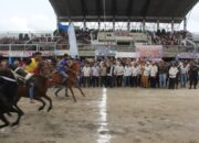Lima Daerah Meriahkan Pacuan Kuda Tradisional Gayo