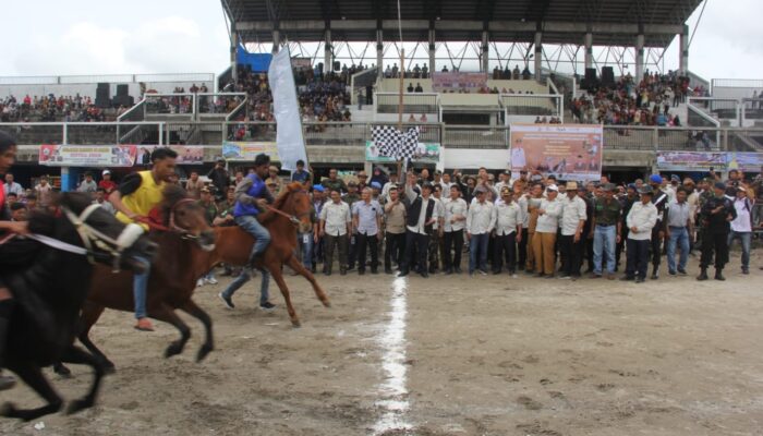 Lima Daerah Meriahkan Pacuan Kuda Tradisional Gayo