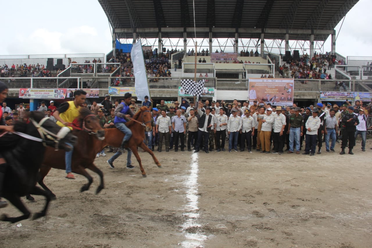 Lima Daerah Meriahkan Pacuan Kuda Tradisional Gayo