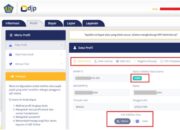 NIK Jadi NPWP : Ayo SegeraMutakhirkan Datamu!