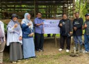 Program Sentra Breeding Domba YBM BRILiaN dan DD Waspada Siap Lahirkan Peternak Baru
