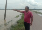 Ratusan Ha Sawah Warga Aceh Utara Terendam Banjir