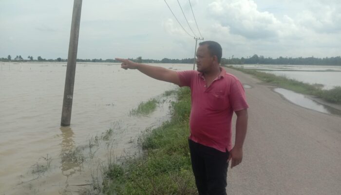 Ratusan Ha Sawah Warga Aceh Utara Terendam Banjir