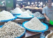 Harga Ikan Asin Di Kota Medan Mengalami Kenaikan