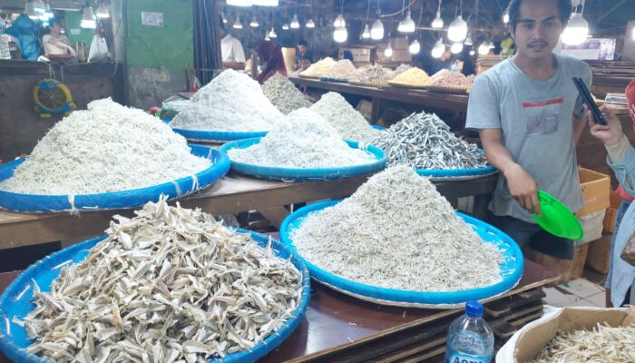 Harga Ikan Asin Di Kota Medan Mengalami Kenaikan