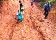 Rp2,7 T Untuk Madina, Termasuk Pantai Barat
