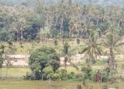 PETI Masih Merajalela Di Ulu Barumun, Kadis LH Tidak Bisa Bertindak