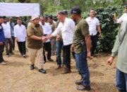 Bupati Tapsel Serahkan Bibit Kopi Dan Ternak Ayam Di Desa Sampean