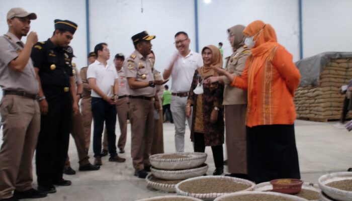96 Ton Kopi Asal Sumut Diekspor ke USA dan Canada