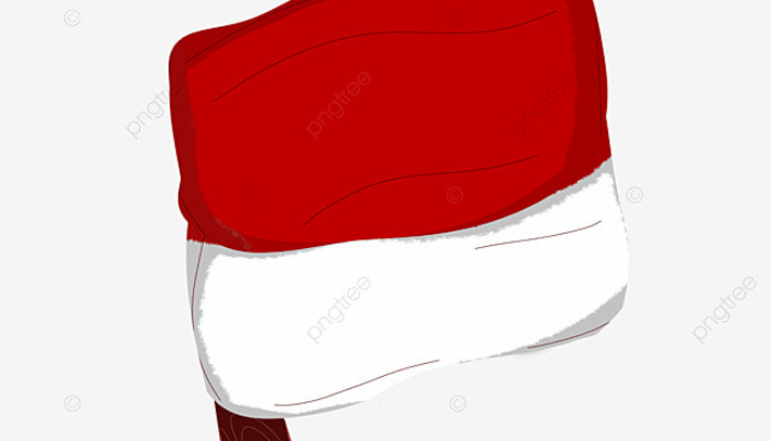 <strong>Ironi Indonesia</strong><strong></strong>