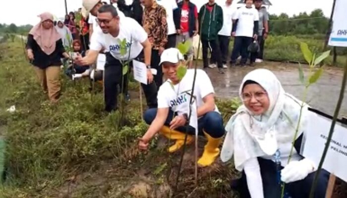 Lestarikan Ekosistem Pesisir, SPMT Tanam 1.000 Pohon Mangrove Di Belawan