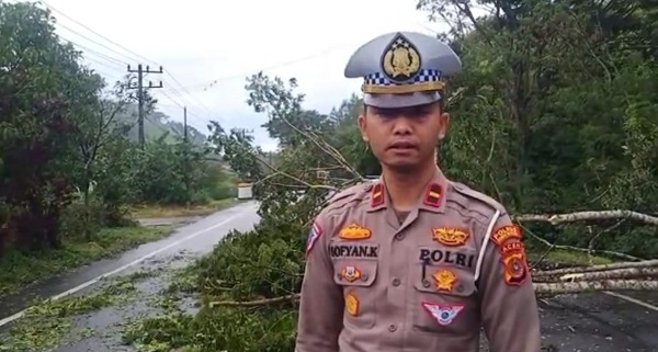 Kasat Lantas Bener Meriah Bersihkan Pohon Tumbang