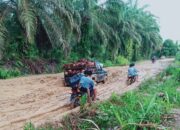 Para siswa berjibaku melewati jalan rusak parah untuk sampai ke sekolah. Waspada.id/dok