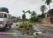 Jalan Negara Di Aceh Timur Kerap ‘Makan’ Korban