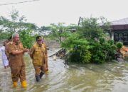 Wabup Deliserdang Tinjau Kondisi Kecamatan Dilanda Banjir