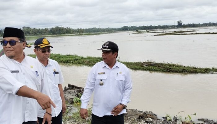 Pidie Banjir, 500 Ha Sawah Di Delima Terendam