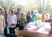 Aceh Tamiang Sejarah Pengembangan Kelapa Sawit Komersial Di Indonesia